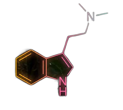 DMT