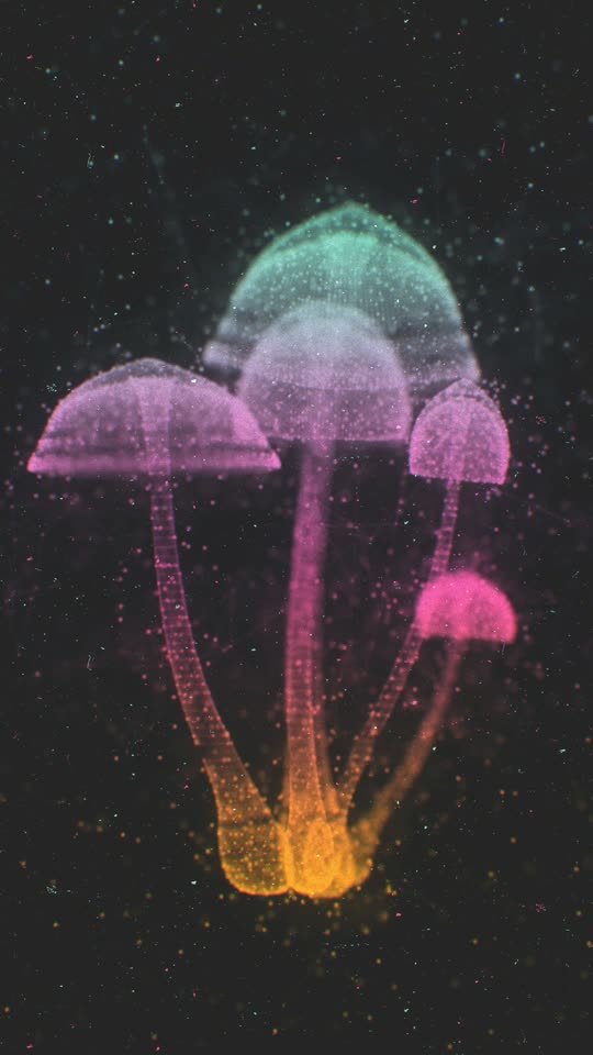 Psilocybin